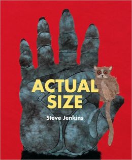 Book cover for Actual Size