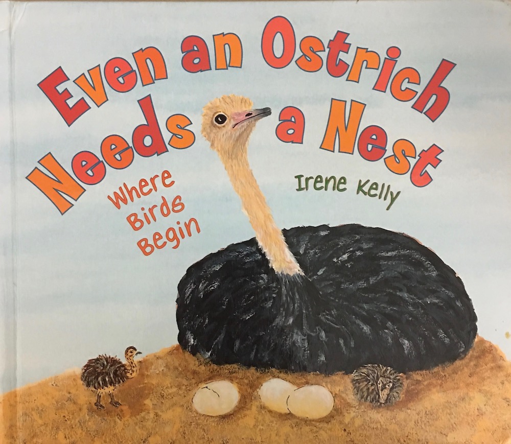 Book cover for Even an Ostrich Needs a Nest