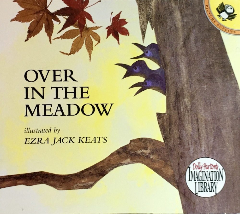 Book cover for Over in the Meadow