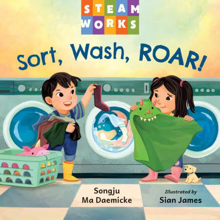 Sort Wash Roar book cover