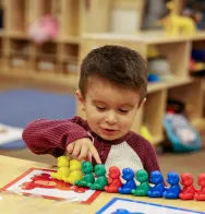 Kid counting colorful bears