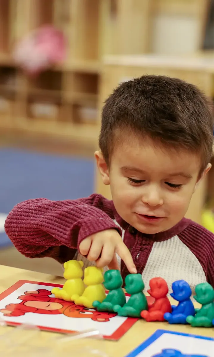 Kid counting colorful bears